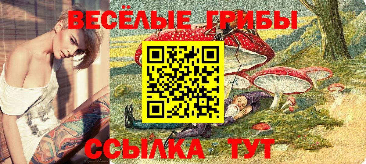 Псилоцибиновые грибы Psilocybine cubensis Тула