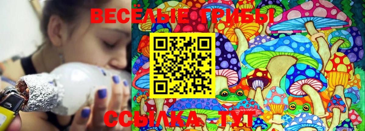 Псилоцибиновые грибы Psilocybe  Псилоцибиновые грибы Magic Shrooms  Вход с VPN  Тула 